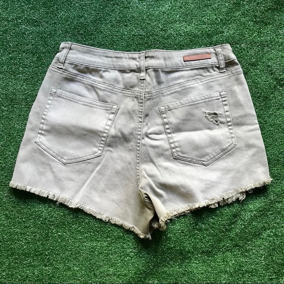 Sun & Shadow Light Green Button Fly Shorts - Picture 3 of 4